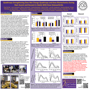 Quadriceps strengthening and knee biomechanics during stair ascent and descent - WCB 2014