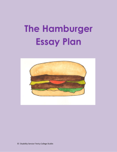 The Hamburger Essay Plan  ©  Disability Service Trinity College Dublin