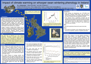 Impact of climate warming on whooper swan wintering phenology in Ireland