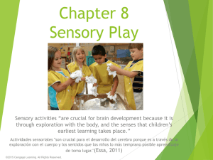 CH 8 Sensory Play.ppt