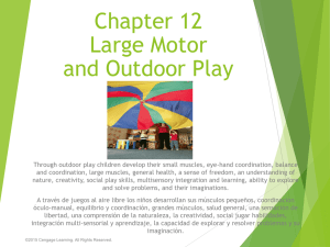 CH 12 Large Motor and Outdoor Play.ppt