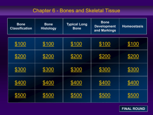Ch6 Bones and Skeletal Tissue