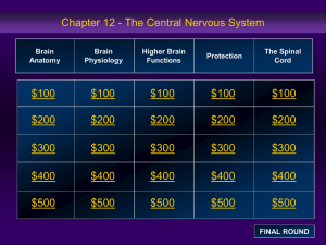 Ch12 CNS