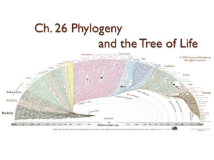 Ch 26 systematics phylogeny S.ppt