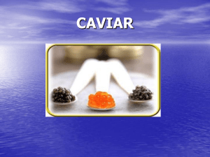 Caviar.ppt