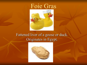 Foie Gras - Truffles.ppt