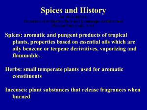 SPICES.ppt