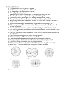 Study Questions Mitosis
