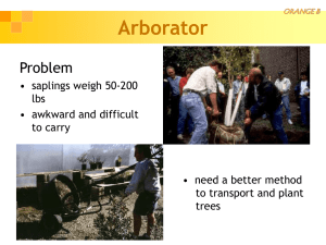 Arborator Problem