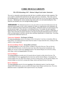 CORE MUSCLE GROUPS-PilatesHandout.doc