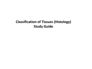 Study of Tissues - Histology - Study Guide