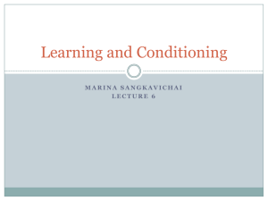Learning and Conditioning Lecture 5.ppt