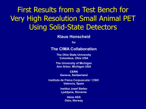 First Results from a Test Bench for Very High Resolution Animal PET