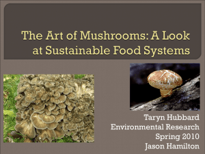 Download Sustainable Food Systems: The magic of mushrooms