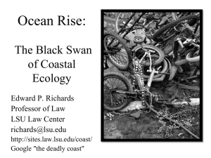 Ocean Rise: The Black Swan of Coastal Ecology