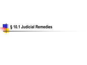 § 10.1 Judicial Remedies