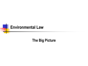 Environmental Law The Big Picture