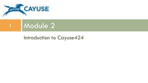 Intro to Cayuse 424