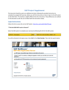 SAP-Project-Supplement