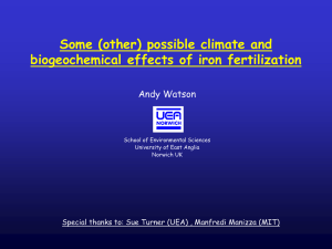 Some (other) possible climate and biogeochemical effects of iron fertilization Andy Watson