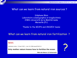 What can we learn from natural iron sources ?