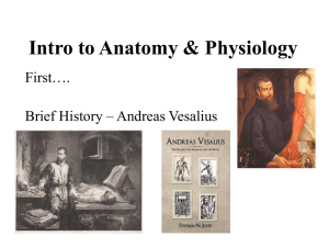 3. Intro to Anatomy PPT