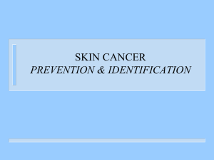 7. Skin Cancer WEB
