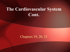 4. Cardiovascular System Cont. WEB
