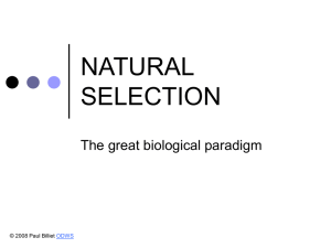 Powerpoint Presentation: Natural Selection