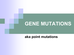 Powerpoint Presentation: Gene Mutations
