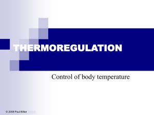 Powerpoint Presentation: Thermoregulation