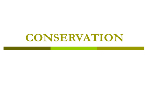 Powerpoint Presentation: Conservation