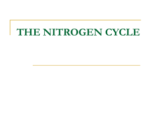 Powerpoint Presentation: The Nitrogen Cycle