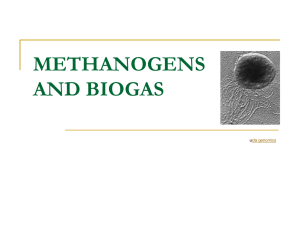 Powerpoint Presentation: Methanogens and Biogas