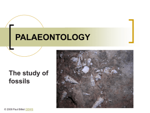 Powerpoint Presentation: Palaeontology