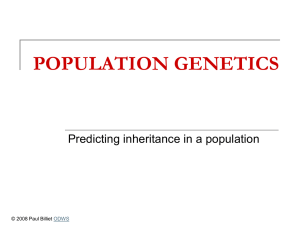 Powerpoint Presentation: Population Genetics