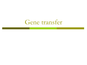 Powerpoint Presentation: Gene Transfer