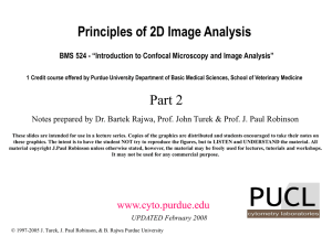 Principles of 2D Image Analysis