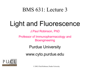 Light and Fluorescence BMS 631: Lecture 3 Purdue University www.cyto.purdue.edu