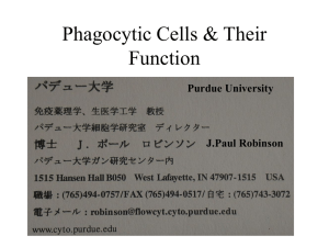 Phagocytic Cells &amp; Their Function Purdue University J.Paul Robinson