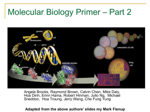 Molecular Biology Primer Part 2 (.ppt)