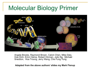 Molecular Biology Primer (.ppt)