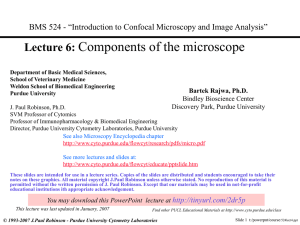 The Principles of Confocal Microscopy
