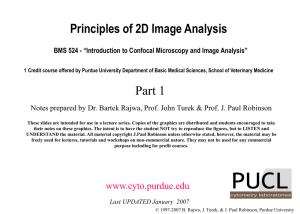 Principles of 2D Image Analysis Morphometry (I)