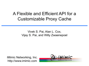 A Flexible and Efficient API for a Customizable Proxy Cache