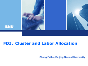 FDI,Cluster and Labour Allocation in the Past Three Decades in China