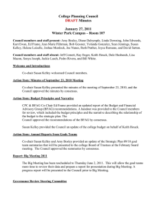 College Planning Council Minutes  January 27, 2011