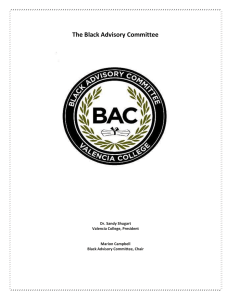 The Black Advisory Committee Brochure