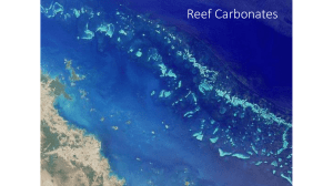 Reef Carbonates