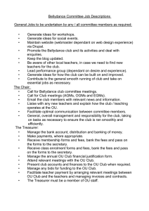 Bellydance Committee Job Descriptions